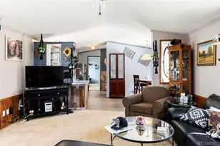 171 Star View Trail, Divide, CO 80814 - Photo 7