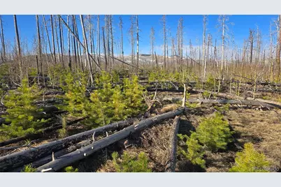 1460 & 1470 Von Hyle Lane, Fort Garland, CO 81133 - Photo 13