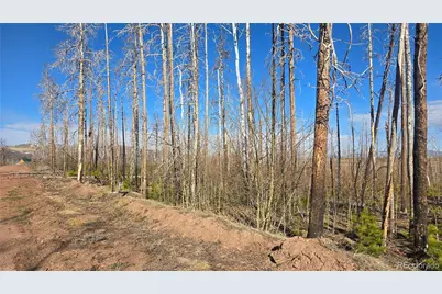 1460 & 1470 Von Hyle Lane, Fort Garland, CO 81133 - Photo 19