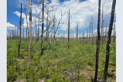 1460 & 1470 Von Hyle Lane, Fort Garland, CO 81133 - Photo 7