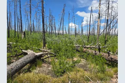1460 & 1470 Von Hyle Lane, Fort Garland, CO 81133 - Photo 5