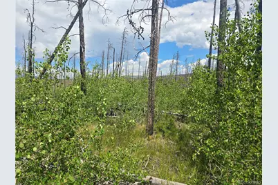 1460 & 1470 Von Hyle Lane, Fort Garland, CO 81133 - Photo 1