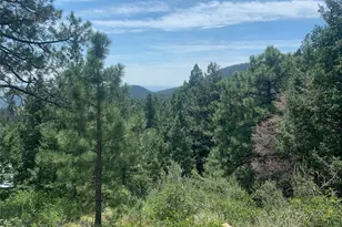 3435 Little Turkey Creek Rd, Colorado Springs, CO 80926 - Photo 1