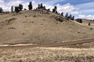 2178 Dog Chief Trail, Hartsel, CO 80449 - Photo 9