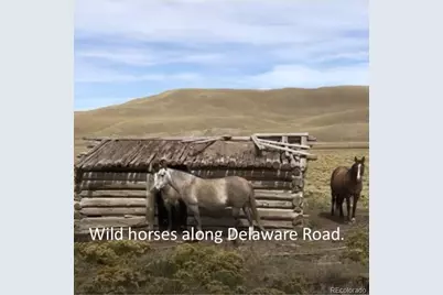 2178 Dog Chief Trail, Hartsel, CO 80449 - Photo 13