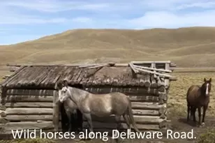 2178 Dog Chief Trail, Hartsel, CO 80449 - Photo 13