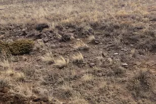 2178 Dog Chief Trail, Hartsel, CO 80449 - Photo 3