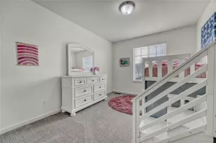 2941 Night Song Way, Castle Rock, CO 80109 - Photo 23