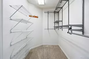 10482 Grizzly Gulch, Highlands Ranch, CO 80129 - Photo 33