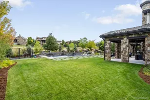 10858 Rainribbon Rd, Highlands Ranch, CO 80126 - Photo 41