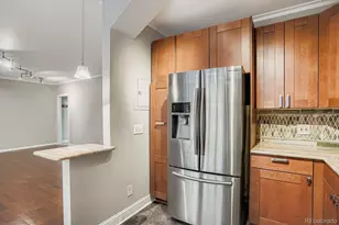 960 N Sherman Street, Denver, CO 80203 - Photo 11