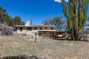15380 Co Rd 350, Buena Vista, CO 81211 - Photo 15