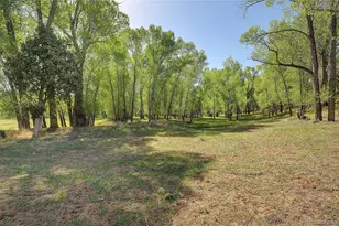 15380 Co Rd 350, Buena Vista, CO 81211 - Photo 37