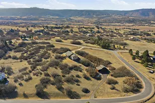 3541 Bear Canyon Cir, Sedalia, CO 80135 - Photo 43