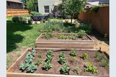 3460 W 31st Avenue, Denver, CO 80211 - Photo 41