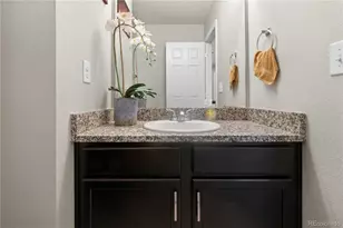 2688 LOON Cir, Castle Rock, CO 80104 - Photo 23