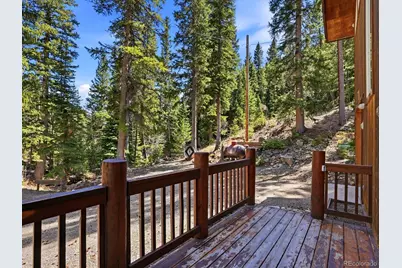 2547 Mill Creek Road, Idaho Springs, CO 80452 - Photo 9