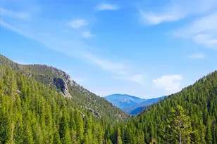 2547 Mill Creek Rd, Idaho Springs, CO 80452 - Photo 45