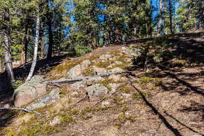 0 Arrowhead Road, Florissant, CO 80816 - Photo 29