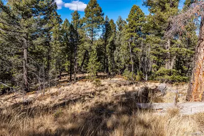 0 Arrowhead Road, Florissant, CO 80816 - Photo 19