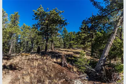 0 Arrowhead Road, Florissant, CO 80816 - Photo 9