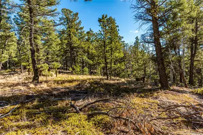 0 Arrowhead Road, Florissant, CO 80816 - Photo 23