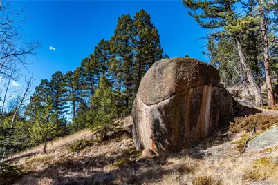 0 Arrowhead Road, Florissant, CO 80816 - Photo 7