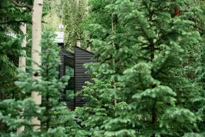 48 Moss Lane, Dumont, CO 80436 - Photo 5