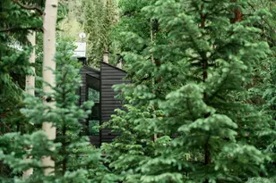 48 Moss Ln, Dumont, CO 80436 - Photo 5