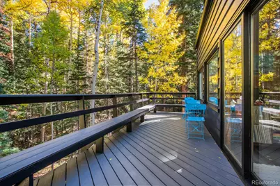 48 Moss Lane, Dumont, CO 80436 - Photo 11