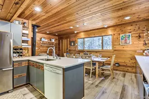 48 Moss Ln, Dumont, CO 80436 - Photo 17