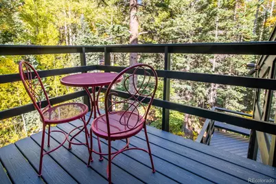 48 Moss Lane, Dumont, CO 80436 - Photo 35