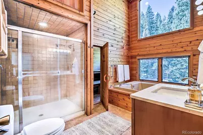 48 Moss Lane, Dumont, CO 80436 - Photo 29