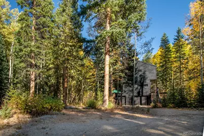 48 Moss Lane, Dumont, CO 80436 - Photo 3