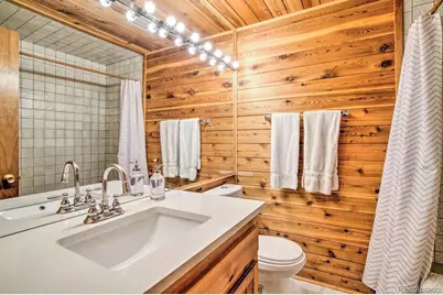 48 Moss Lane, Dumont, CO 80436 - Photo 37