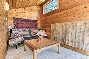 48 Moss Ln, Dumont, CO 80436 - Photo 39