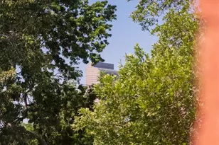 2536 N Gilpin St, Denver, CO 80205 - Photo 39