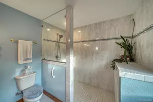 15550 Silver Tip Ct, Buena Vista, CO 81211 - Photo 39