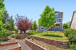 5926 Echo Hollow St, Castle Rock, CO 80104 - Photo 27