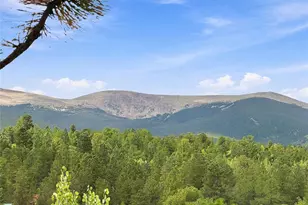 203 Gold Flake Terrace, Bailey, CO 80421 - Photo 19