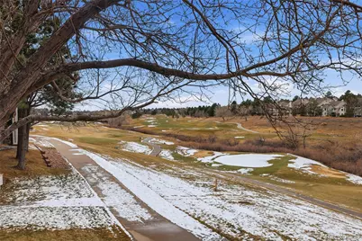 8666 Ainsdale Court, Lone Tree, CO 80124 - Photo 41