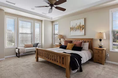 6299 Ellingwood Point Place, Castle Rock, CO 80108 - Photo 23