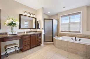 6299 Ellingwood Point Pl, Castle Rock, CO 80108 - Photo 29