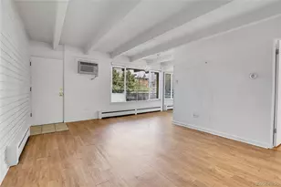 250 N Pearl St, Denver, CO 80203 - Photo 9