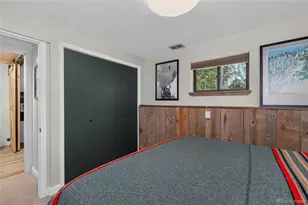 336 E Mountain Ave, Empire, CO 80438 - Photo 37