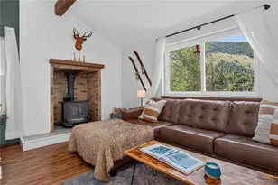 336 E Mountain Ave, Empire, CO 80438 - Photo 13