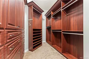 9168 Viaggio Way, Highlands Ranch, CO 80126 - Photo 25