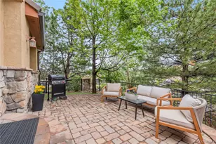 10066 Bluffmont Ct, Lone Tree, CO 80124 - Photo 23