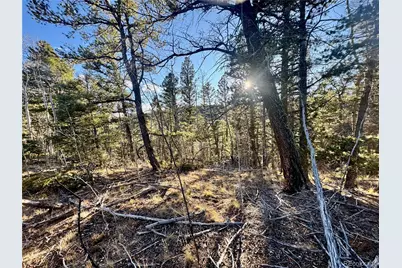 Lot 5888 Loubier Road, Fort Garland, CO 81152 - Photo 7