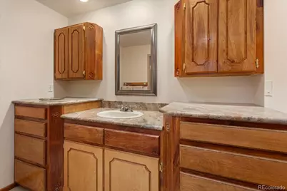 16382 Falcon Drive, Nathrop, CO 81236 - Photo 33